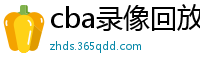 cba录像回放